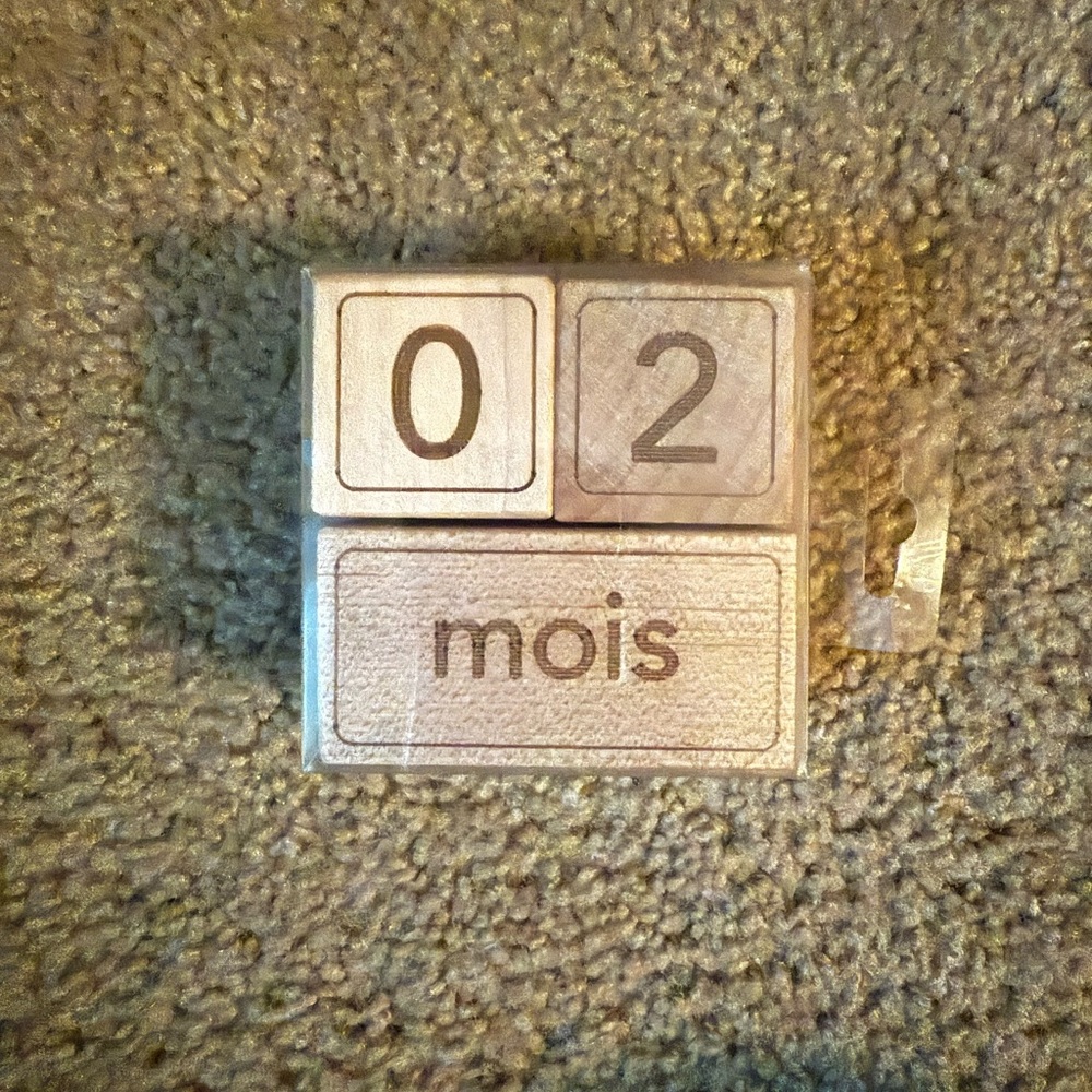Baby Milestone Wooden Blocks {French}